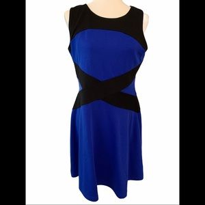 Spence Women's Colorblock A Line Dress